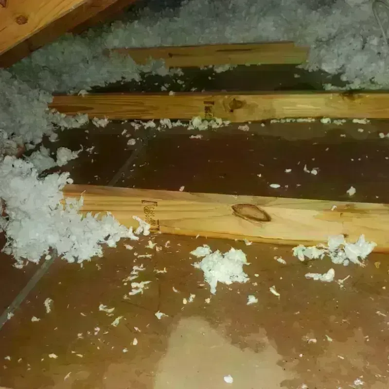 Attic Water Damage in New Brighton, NY