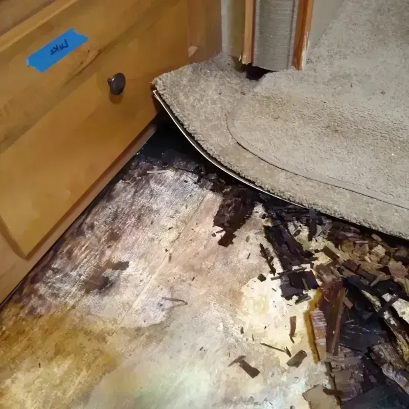 Best Wood Floor Water Damage Service in New Brighton, NY